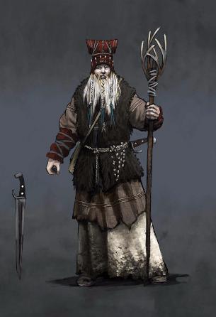 DRUID OF SKELLIGE - Card - Custom Gwent